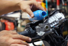 Berapa Lama Minyak Rem Motor Harus Diganti? Ini Waktu Ideal Biar Rem Tetap Pakem dan Aman