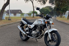 Suzuki Thunder 250: Motor Naked Legendaris 2 Silinder, Tenaga Besar dan Masih Diburu Hingga Sekarang
