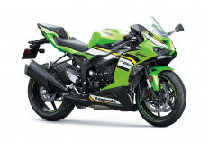 Kawasaki Ninja ZX-4RR, ZX-6R dan ZX-10R Livery WSBK 2024 Sudah Dijual di Indonesia, Calon Collector Item