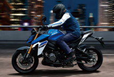 Suzuki GSX-S1000 2025 Resmi Meluncur, Yuk Intip Spesifikasi dan Harganya Sob!