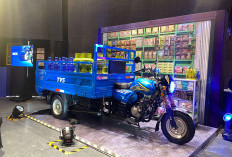 TVS Armado Resmi Meluncur di Indonesia: Mesin Bandel, Daya Angkut Jumbo!