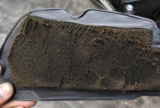 Waspada! Inilah Bahaya Jika Membiarkan Filter Udara Motor Terlalu Kotor