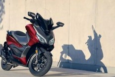 Banyak yang Bilang Forza 250 Tidak Cocok Dipakai Harian, Benarkah Demikian?