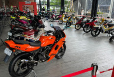 MaxDecal Art Party 2025 Jadi Panggung 170 Seniman dan 50 Modifikator Unjuk Kreativitas