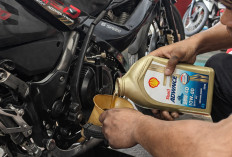 Fakta Oli Mesin Motor Terungkap: Bukan Sekadar Pelumas, Tapi Penentu Umur dan Performa Mesin