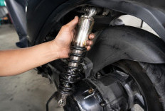 Shockbreaker Motor Bocor Terus, Ternyata Ini Beberapa Penyebab yang Sering Luput dari Perhatian Pemilik