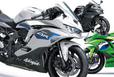 Kawasaki Ninja ZX-4R SE dan ZX-4RR Model 2026 Resmi Meluncur, Ini Warna Terbarunya