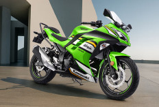 Kawasaki Ninja 300 2026 Resmi Rilis! Tampilan Makin Sporty, Fitur Modern, Mesin Tetap Bertenaga