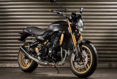 Rayakan Ulang Tahun ke-50, Kawasaki Jerman Luncurkan Z900RS Special Edition