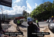 Viral! Lapak PKL Telah Dibereskan, Pungli Tetap Menjadi Masalah di Puncak Bogor 