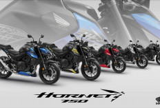 Honda CB750 Hornet 2027 Tampil Lebih Segar dengan Empat Warna Baru