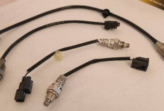 Tips Knowledge: Apa Fungsi Sensor Oksigen pada Motor?