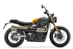 8 Fakta Menarik dari Motor Triumph Scrambler 900 2026