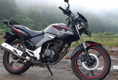 Fakta Menarik Honda Tiger yang Bikin Masih Dicari Penggemar