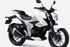 Bikin Gebrakan, Suzuki Resmi Luncurkan Naked Bike 250cc untuk Saingi Yamaha MT-25