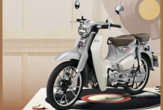 Punya 2 Warna Baru, Begini Tampang Honda Super Cub C125 2026