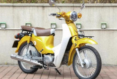 Pleasant Goat 2025, Versi Bajakan Dari Honda Super Cub 110