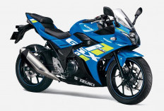Motor Suzuki GSX-250R Siap Mengaspal, Cek Harga dan Spesifikasinya