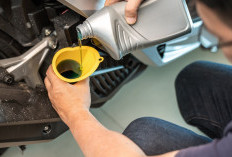 Oli Sintetis vs Mineral: Mana yang Tepat untuk Kendaraan?