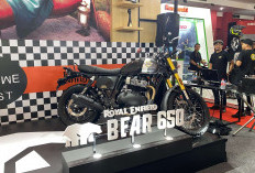 Royal Enfield Bear 650 Nongol di IIMS 2026: Scrambler Buas Bertampang Retro, Segini Harganya