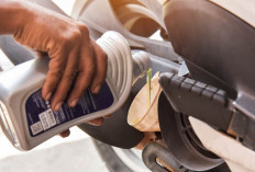 Tips Mudah dan Hemat Mengganti Oli Sepeda Motor Sendiri