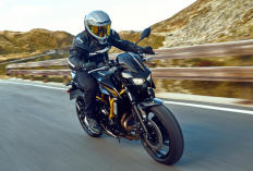 Desainnya Makin Agresif, Begini Tampilan Kawasaki Z650 S 2026