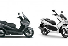 Suzuki Burgman atau Honda PCX? Adu Nyaman Dua Skutik Premium untuk Touring Jarak Jauh