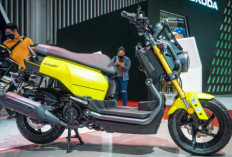 Motor Ini Jadi Saingan Honda Zoomer X, Rangkanya Unik Bisa Dibongkar Pasang!