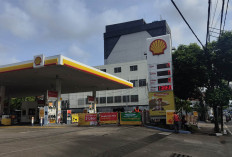 Shell Kembali Kosong, Berikut Daftar Wilayah Shell yang Masih Tersedia